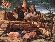 MANTEGNA, Andrea Agony in the Garden dth oil